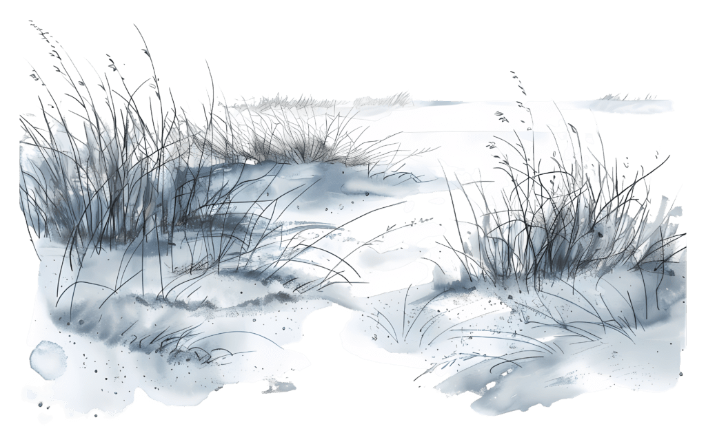 Schneelandschaft mit Gräsern 2