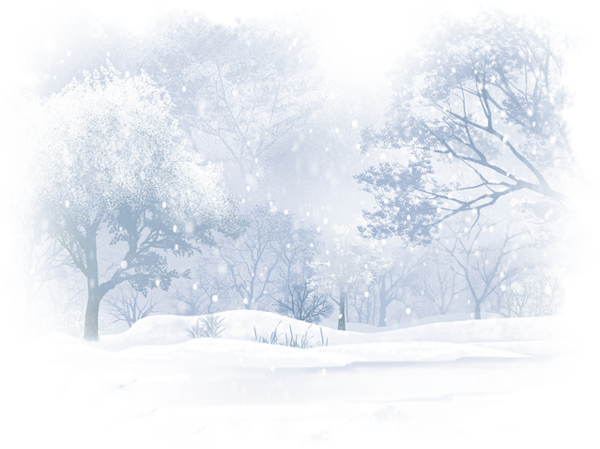 Schneelandschaft