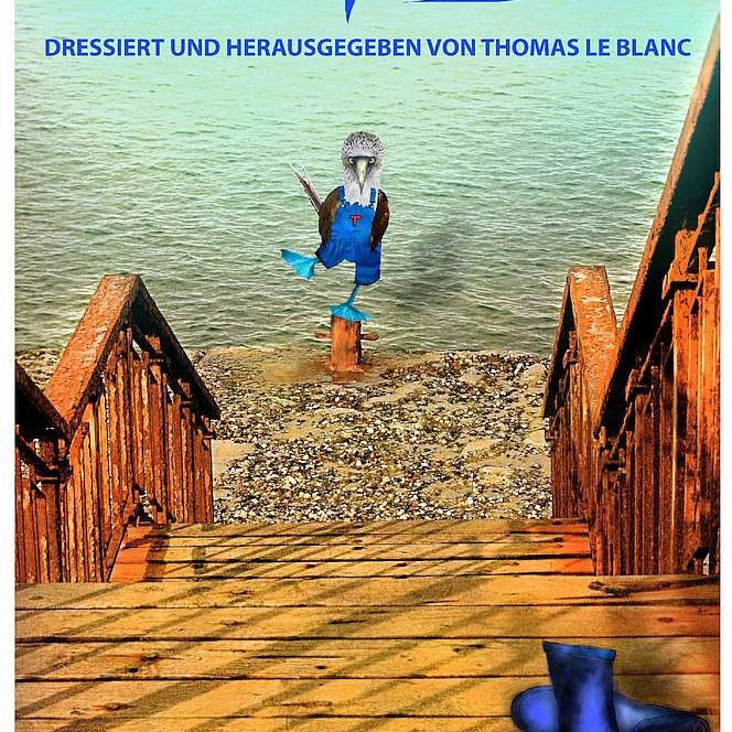 Cover Phantastische Miniaturen Band 13 "Blaufußtölpel"