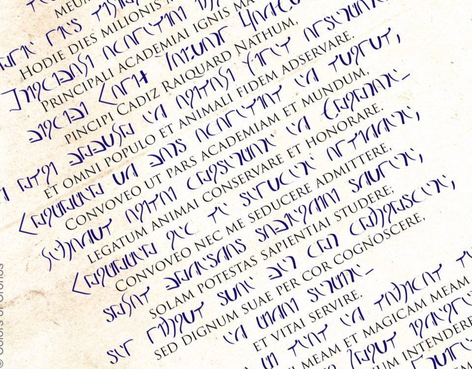 Ausschnitt aus dem Weiheschwur der Druiden zum Studienbeginn an einer Akademie in Nafishurs Feuerreich Zambala