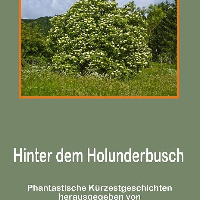 Phantastische Miniaturen Band 44 "Hinter dem Holunderbusch"