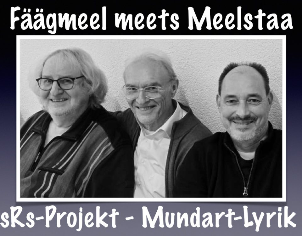 Fa?a?gmeel_Meelstaa-sRs-Projekt