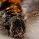 Cover Phantastische Miniaturen Band 89 "Tiere und Un-Tiere"