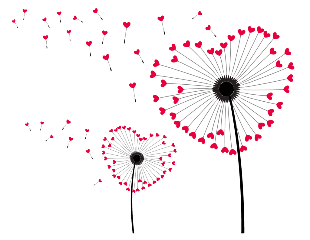 Pusteblumen in Herzform