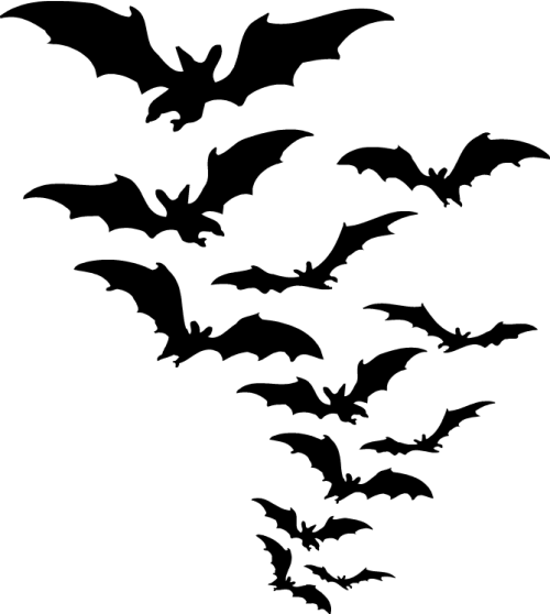 Fledermausschwarm