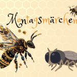 Fliegen und Brummer_Maren