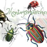 Bunte, phantasievolle Käfer krabbeln über ein weißes Blatt